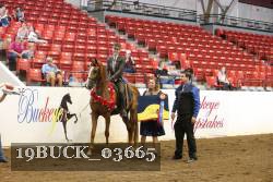 19BUCK_03665 proof