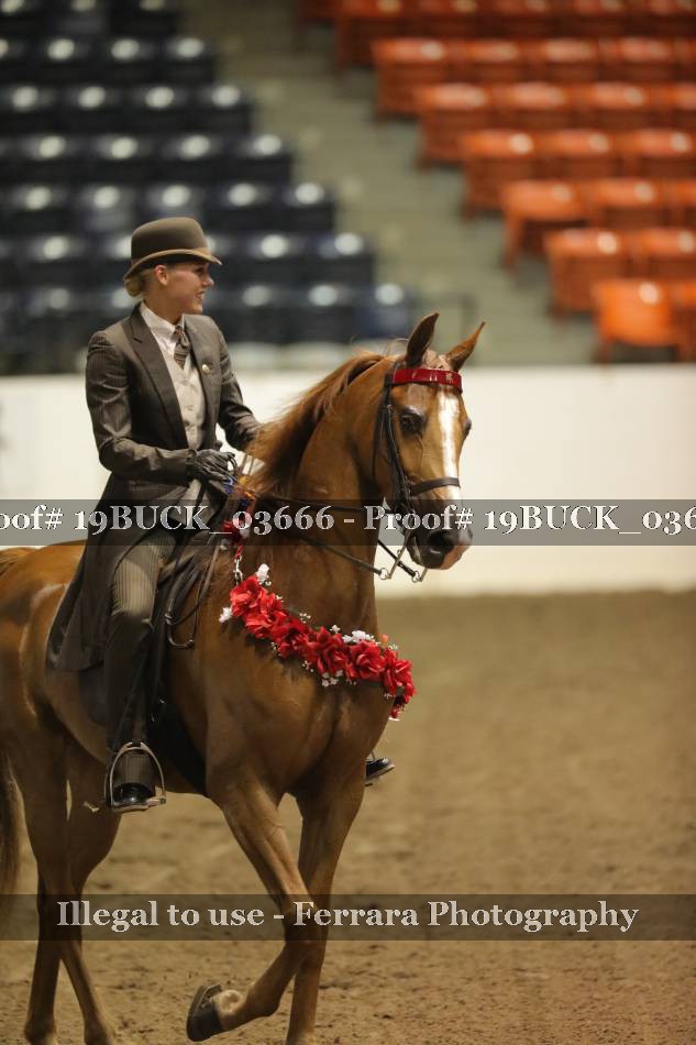 Proof 19BUCK_03666
