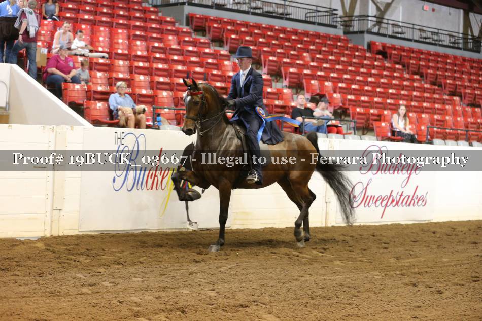 Proof 19BUCK_03667
