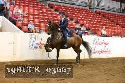 19BUCK_03667 proof