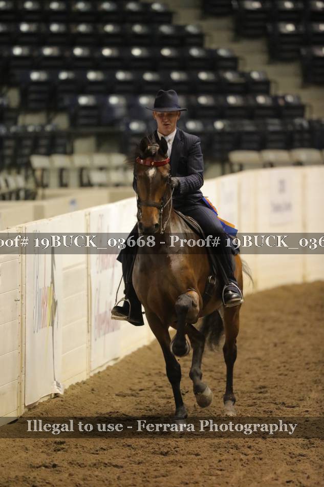 Proof 19BUCK_03668
