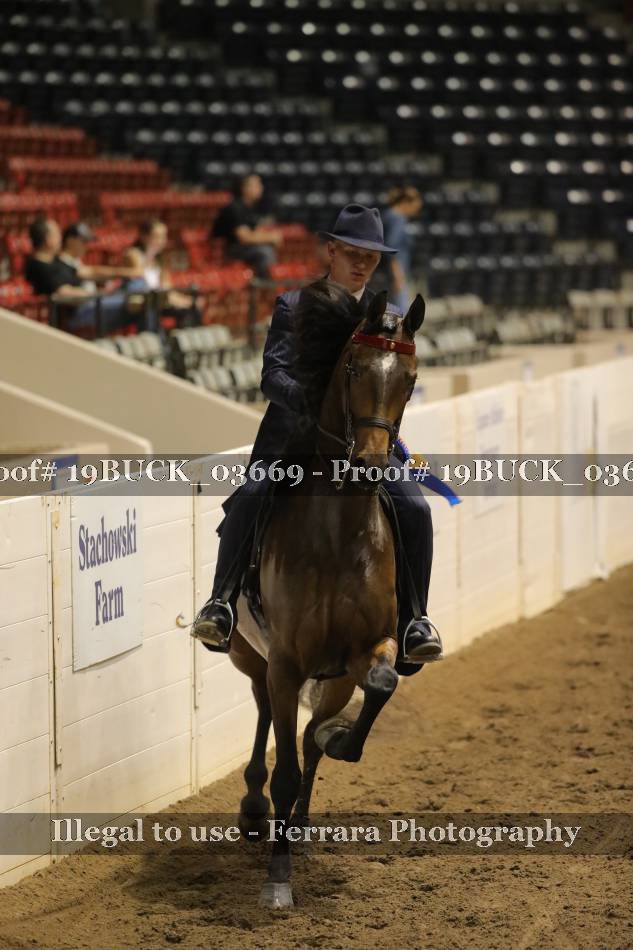 Proof 19BUCK_03669
