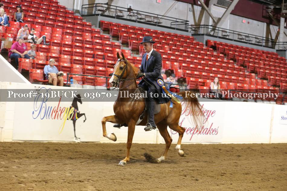 Proof 19BUCK_03670
