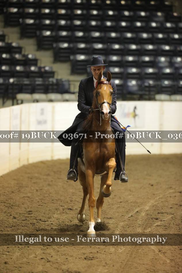 Proof 19BUCK_03671