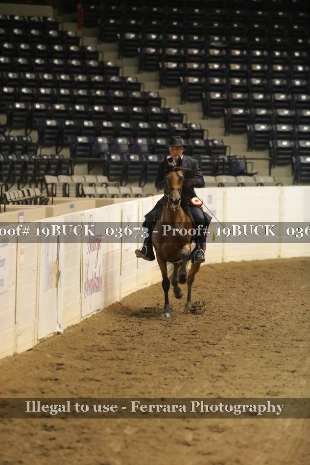 Proof 19BUCK_03673