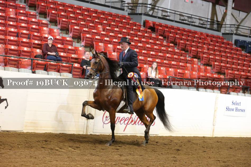 Proof 19BUCK_03674