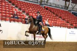 19BUCK_03674 proof