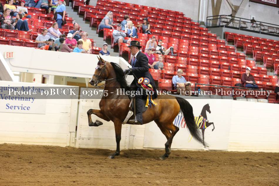 Proof 19BUCK_03675