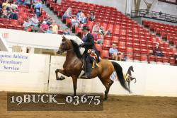 19BUCK_03675 proof