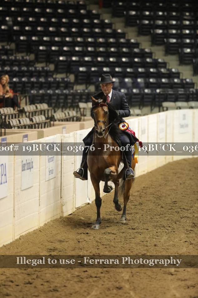 Proof 19BUCK_03676