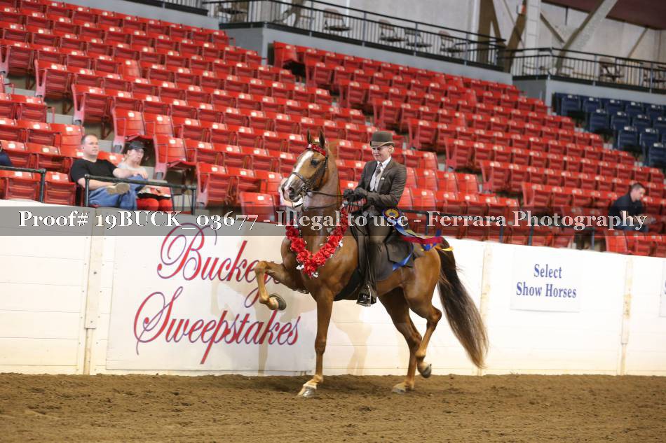 Proof 19BUCK_03677