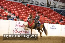 19BUCK_03677 proof