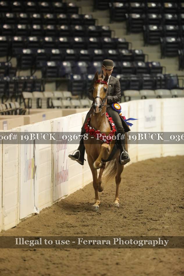 Proof 19BUCK_03678