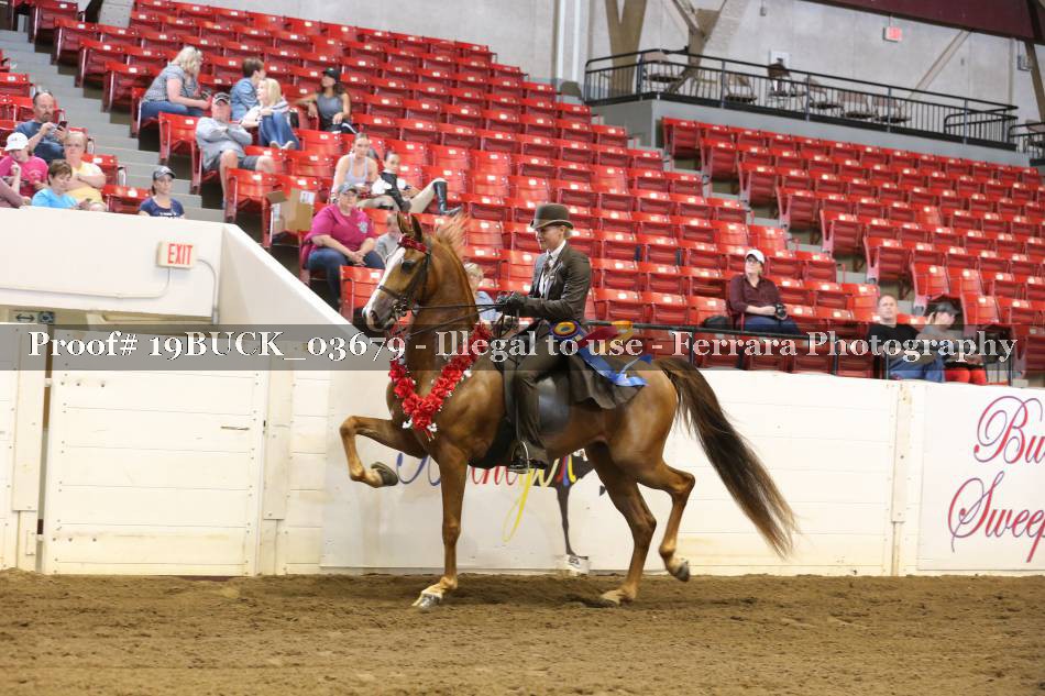 Proof 19BUCK_03679