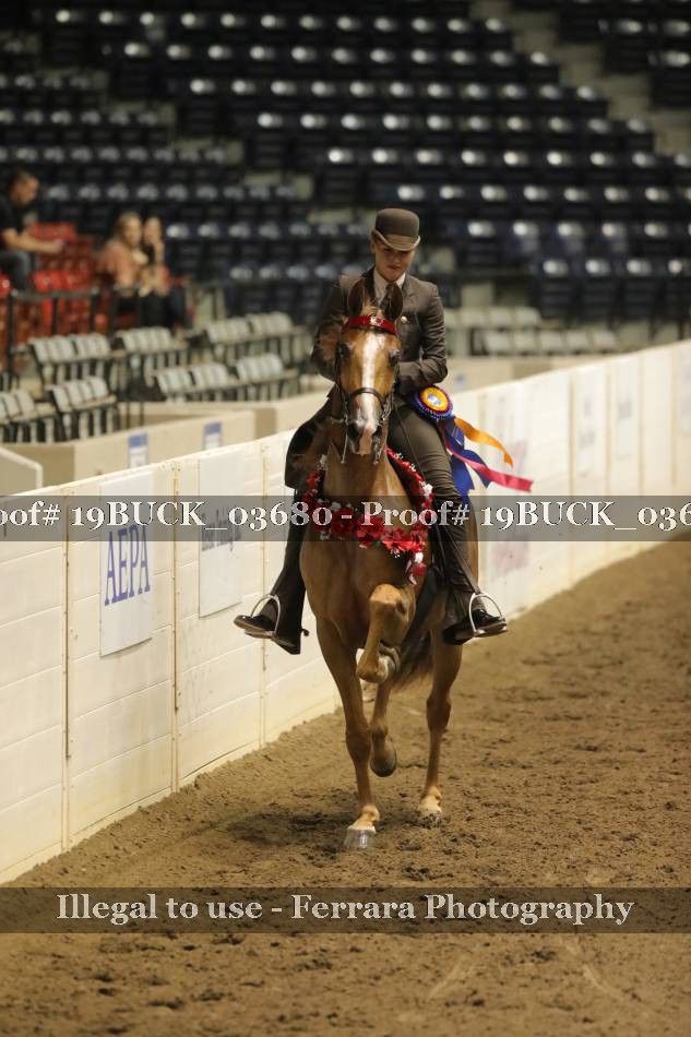 Proof 19BUCK_03680
