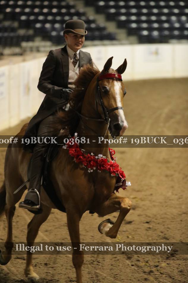 Proof 19BUCK_03681