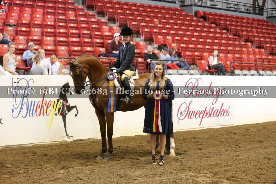 Proof 19BUCK_03683
