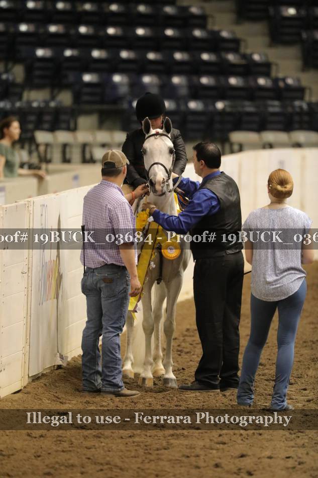 Proof 19BUCK_03684