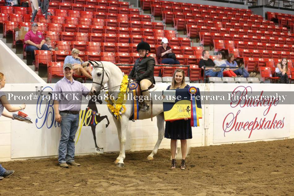 Proof 19BUCK_03686