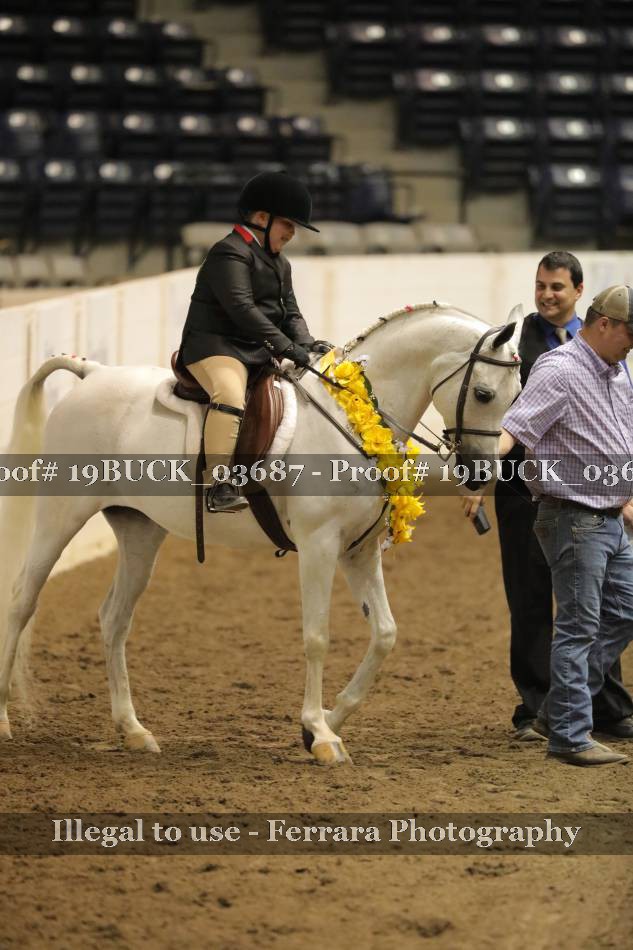Proof 19BUCK_03687