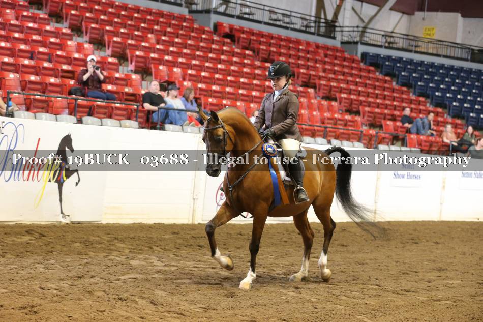 Proof 19BUCK_03688