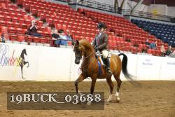 19BUCK_03688 proof