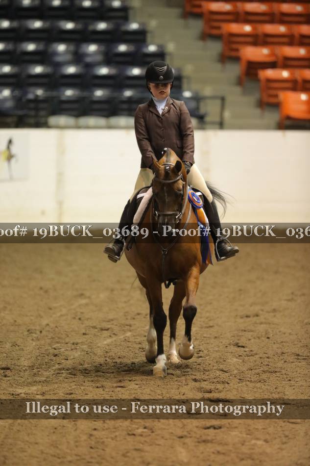 Proof 19BUCK_03689