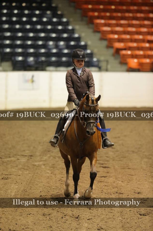 Proof 19BUCK_03690