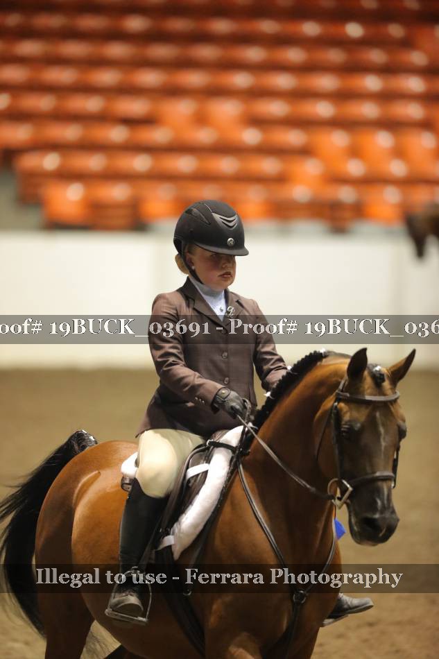 Proof 19BUCK_03691