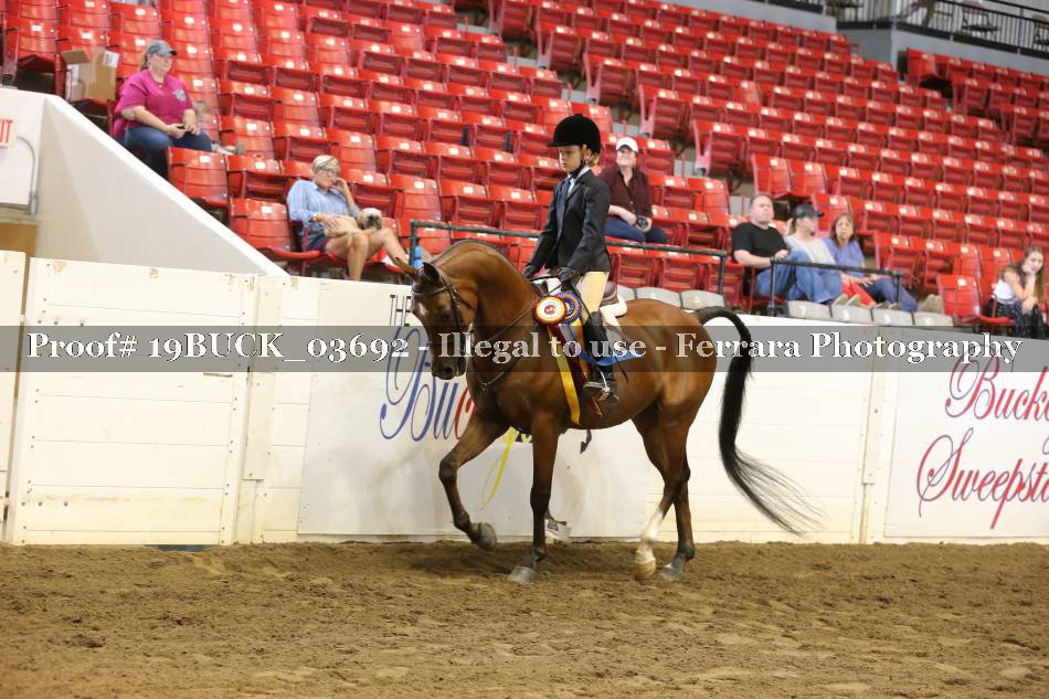 Proof 19BUCK_03692