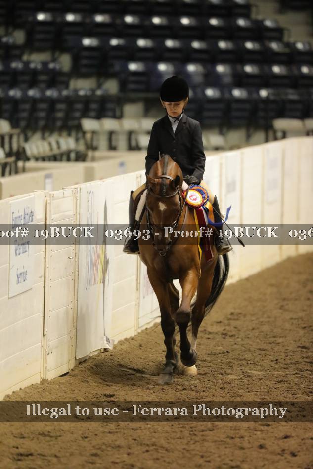Proof 19BUCK_03693