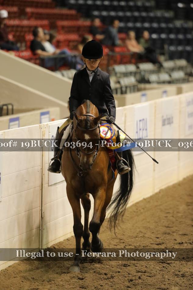 Proof 19BUCK_03694