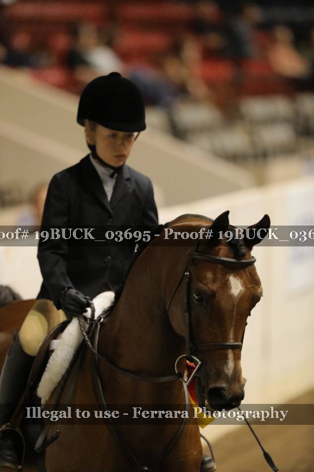 Proof 19BUCK_03695