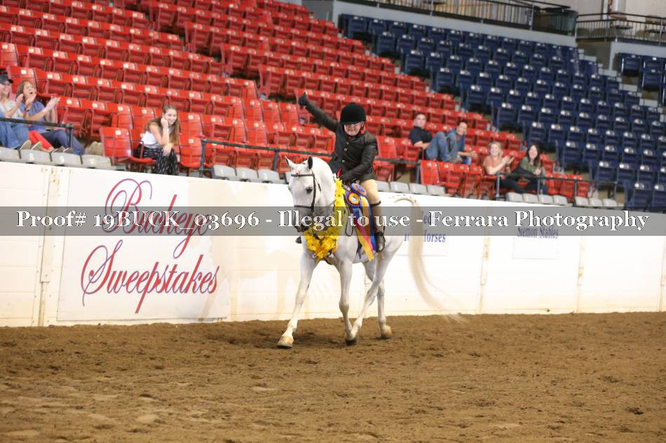Proof 19BUCK_03696