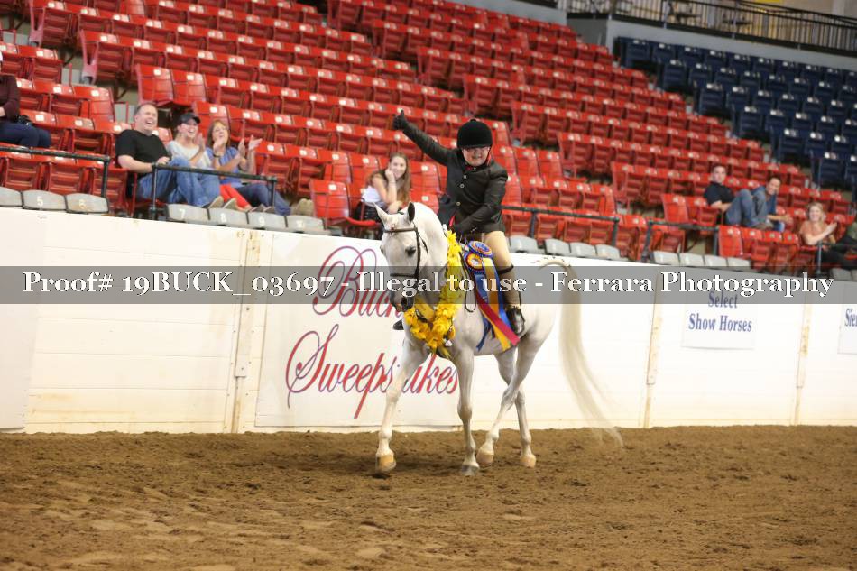 Proof 19BUCK_03697