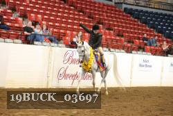 19BUCK_03697 proof