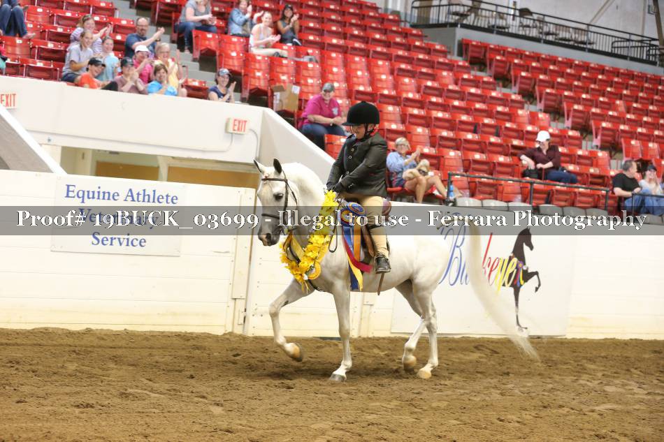 Proof 19BUCK_03699