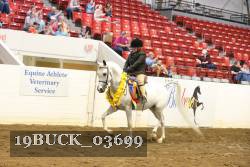 19BUCK_03699 proof