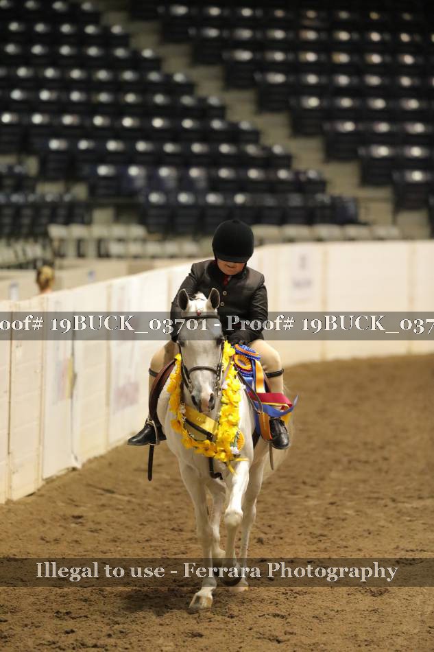 Proof 19BUCK_03701