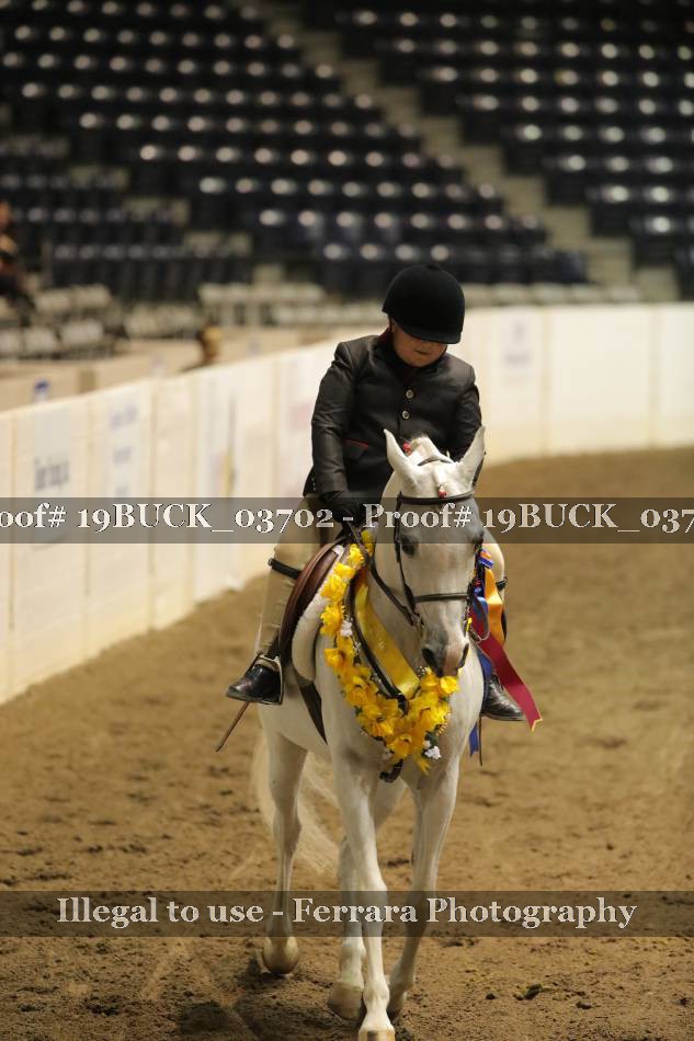 Proof 19BUCK_03702
