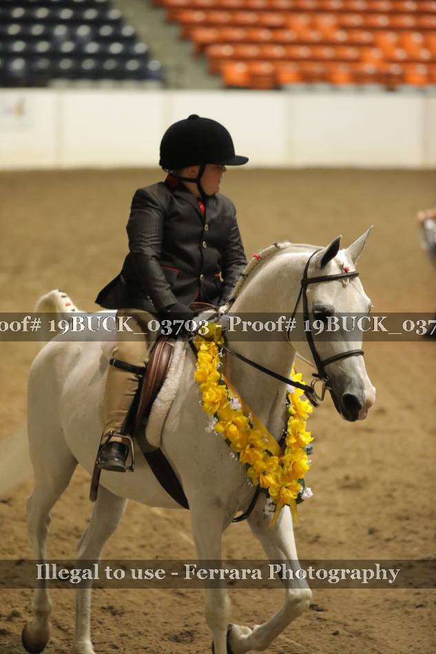 Proof 19BUCK_03703