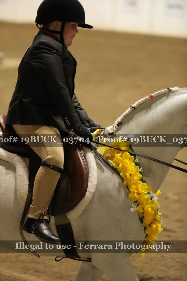 Proof 19BUCK_03704