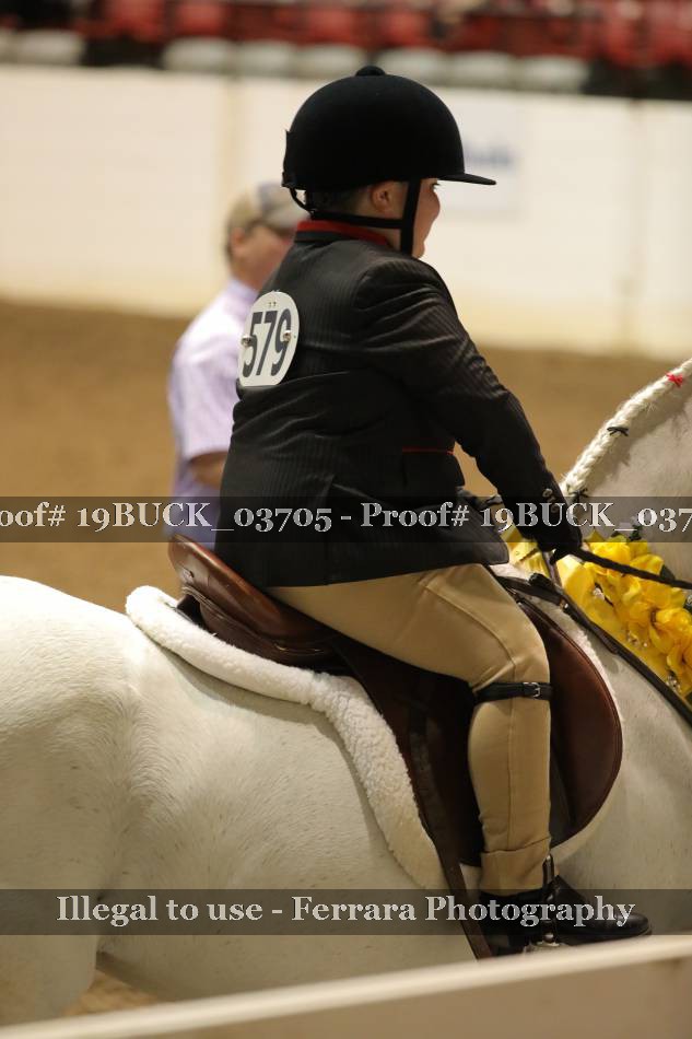 Proof 19BUCK_03705