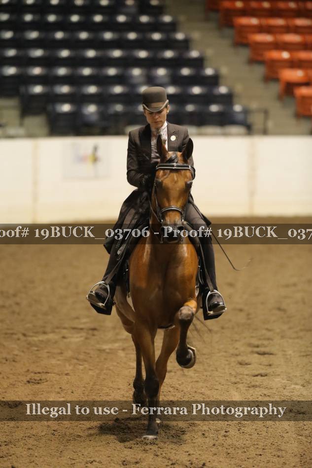 Proof 19BUCK_03706