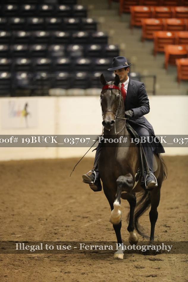 Proof 19BUCK_03707