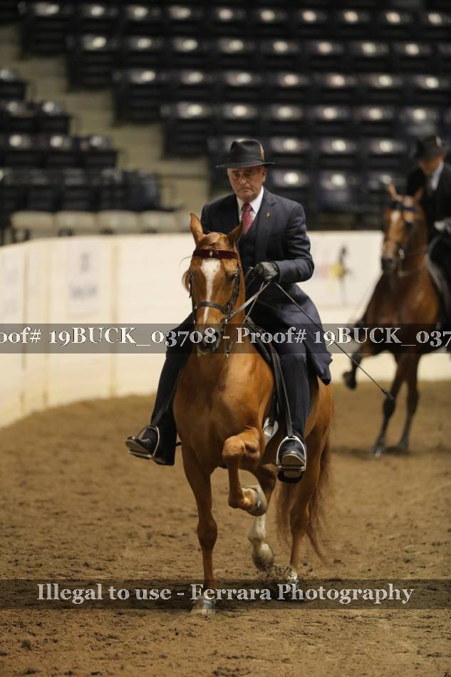 Proof 19BUCK_03708