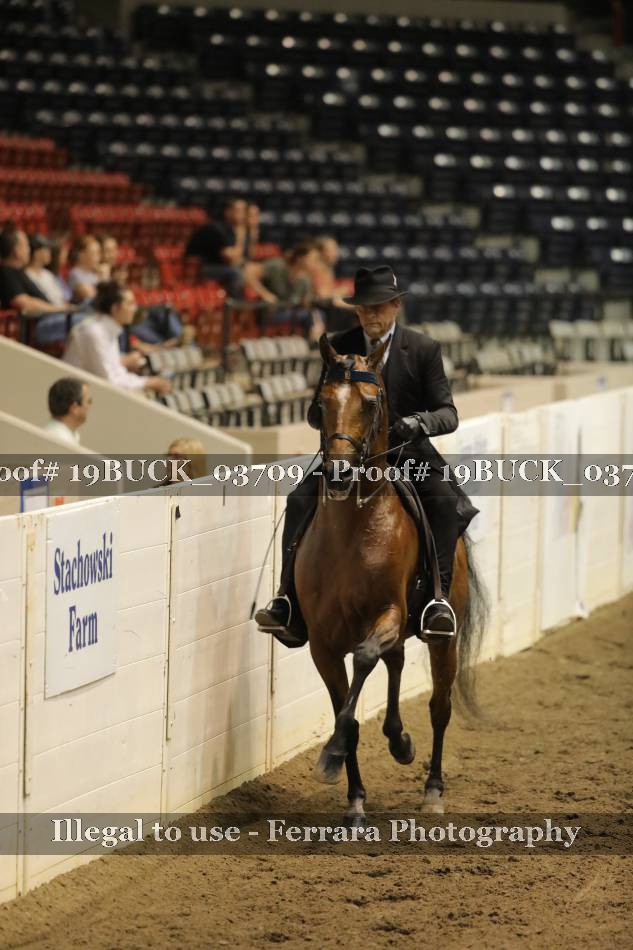 Proof 19BUCK_03709