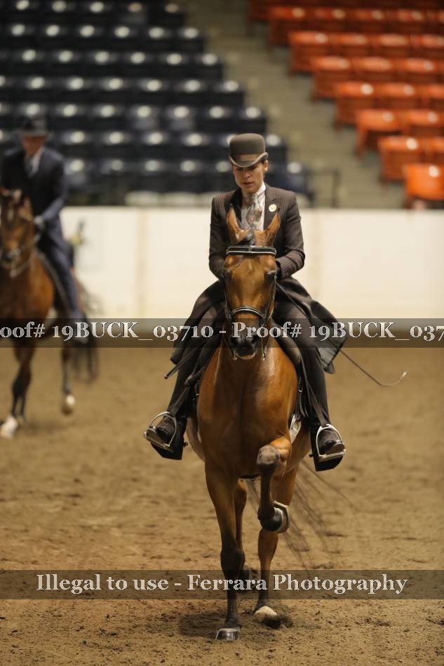 Proof 19BUCK_03710