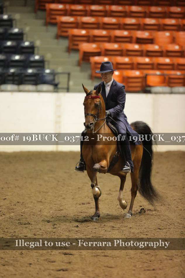 Proof 19BUCK_03712