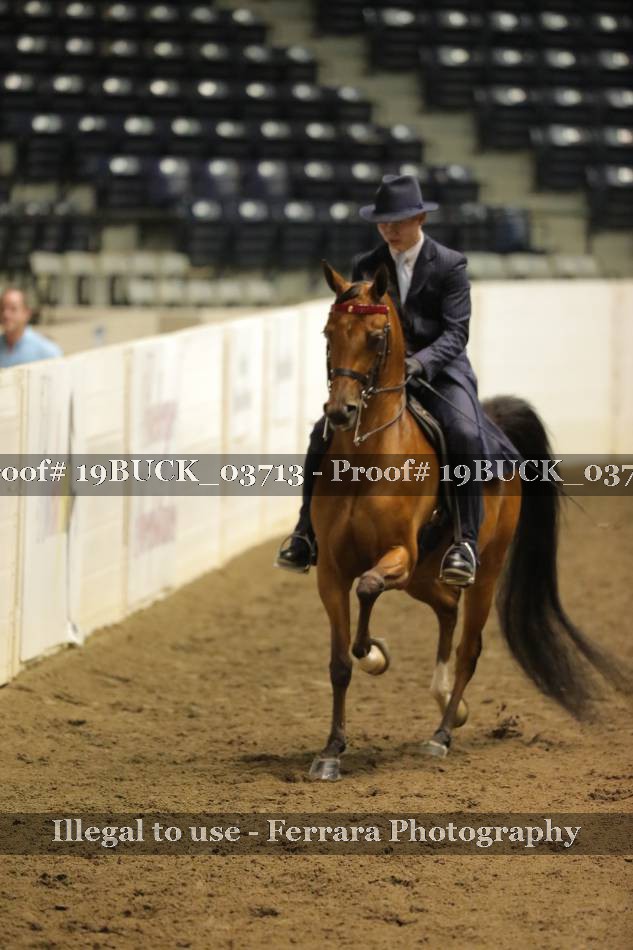 Proof 19BUCK_03713